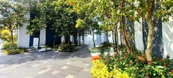 Blk 1D The Pinnacle@Duxton (Bukit Merah), HDB 4 Rooms #594561371